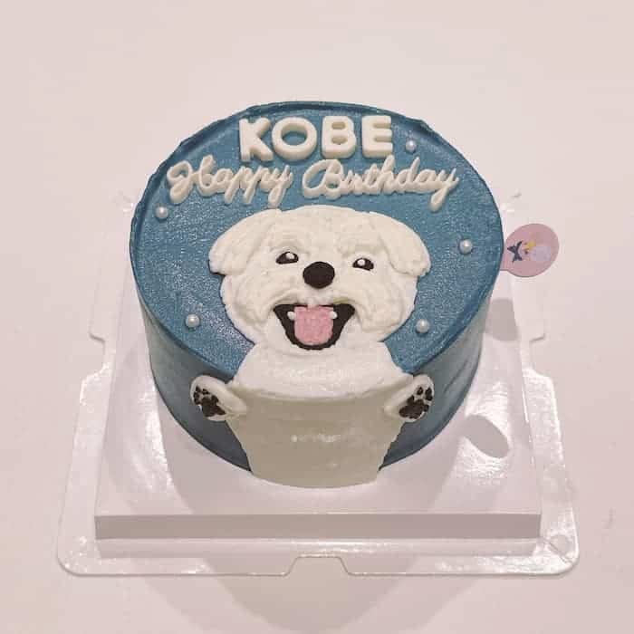 Trần Ngọc Huyền avatar