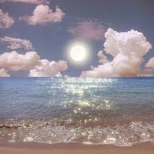 Huỳnh Ngọc Lan avatar